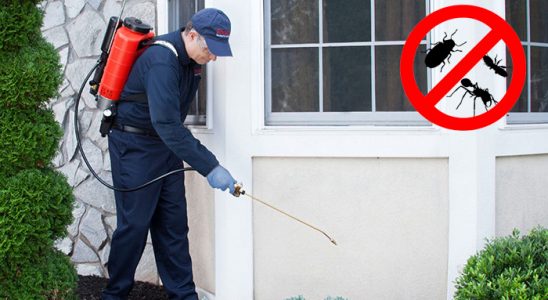 Kağıthane Gümüşkurt İlaçlama böcek ilaçlama ve haşere kontrolü — ilaclama-tr.com